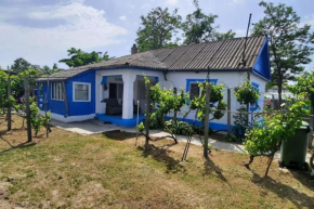 Traditional House in Danube Delta